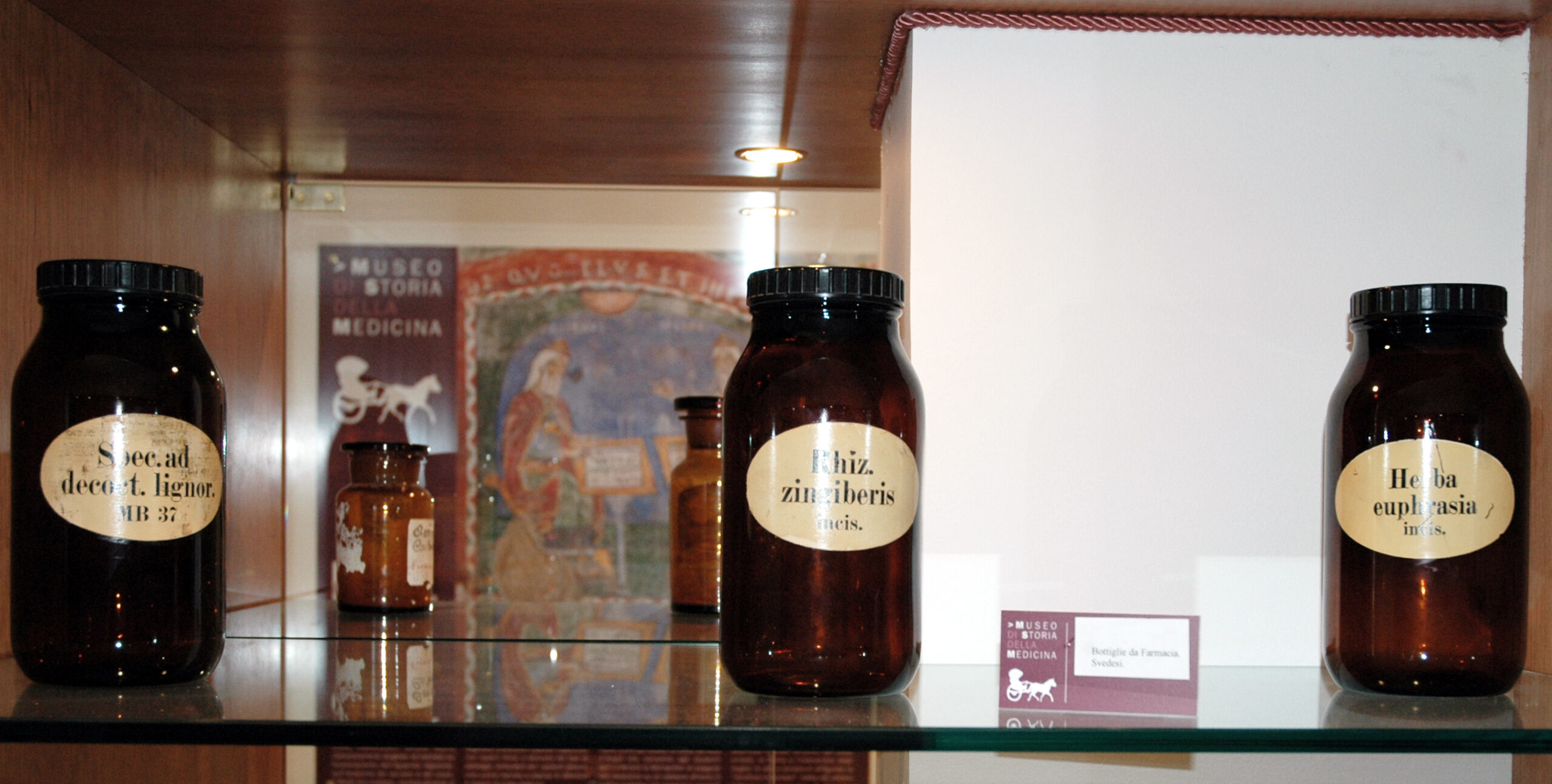 Tre grandi vasi da farmacia marroni con etichette in latino sono esposti su uno scaffale di vetro in un museo. Sullo sfondo sono visibili una piccola insegna e un manifesto del museo sfocato.